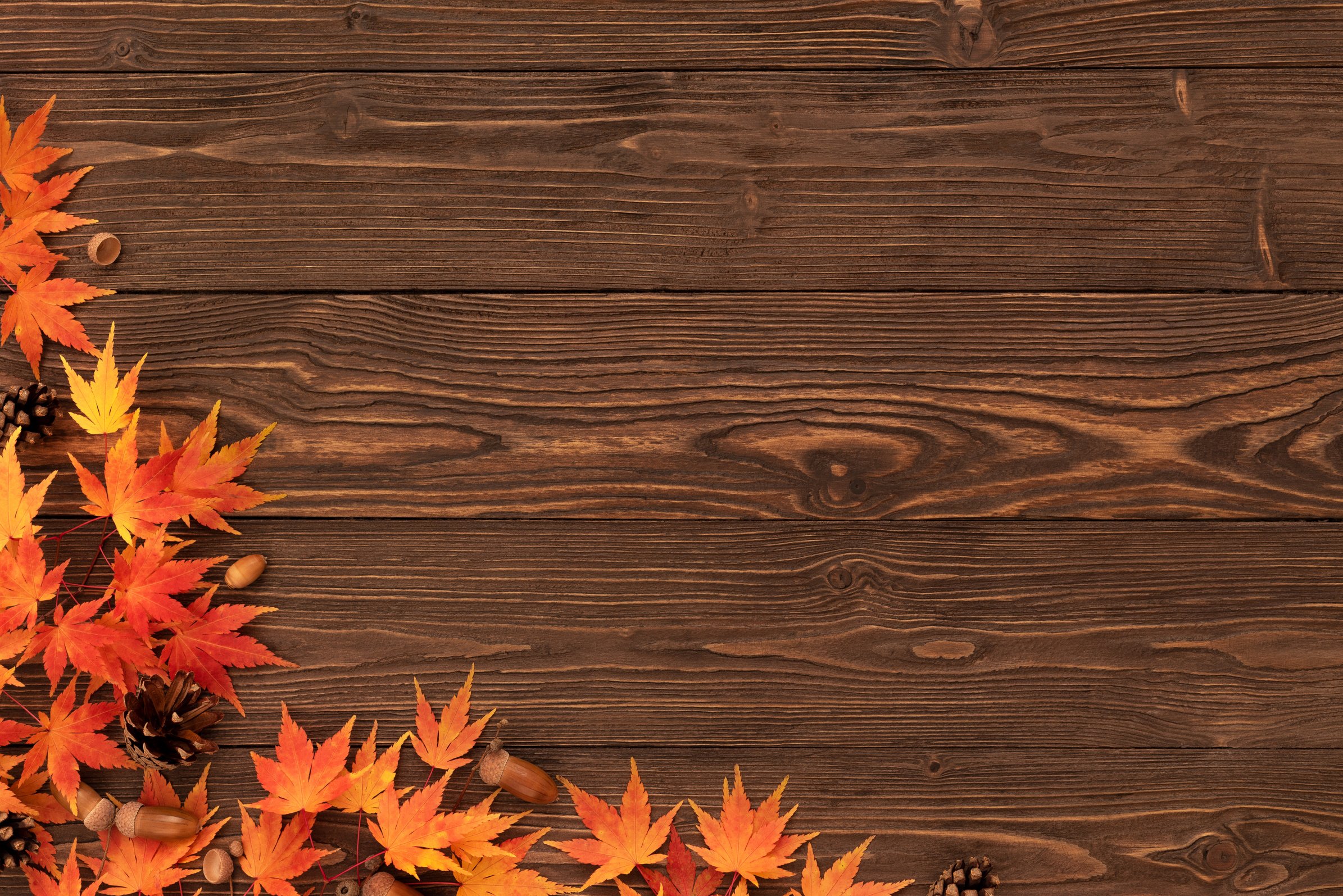 Vintage Wooden Background with Fall Foliage Border